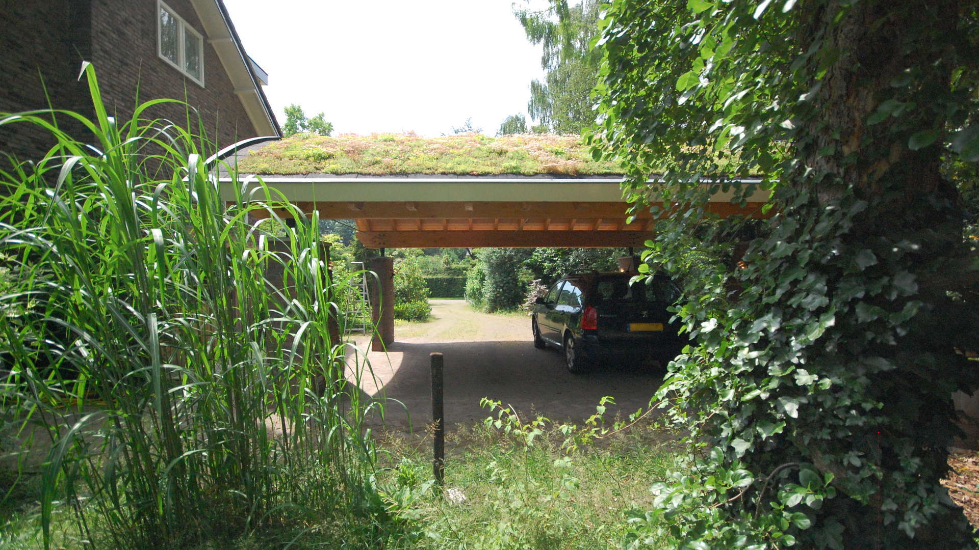 Architectuur Ontwerp Dubbele Carport Begroeid Dak Deventer ©Tijmen Bos Architecten