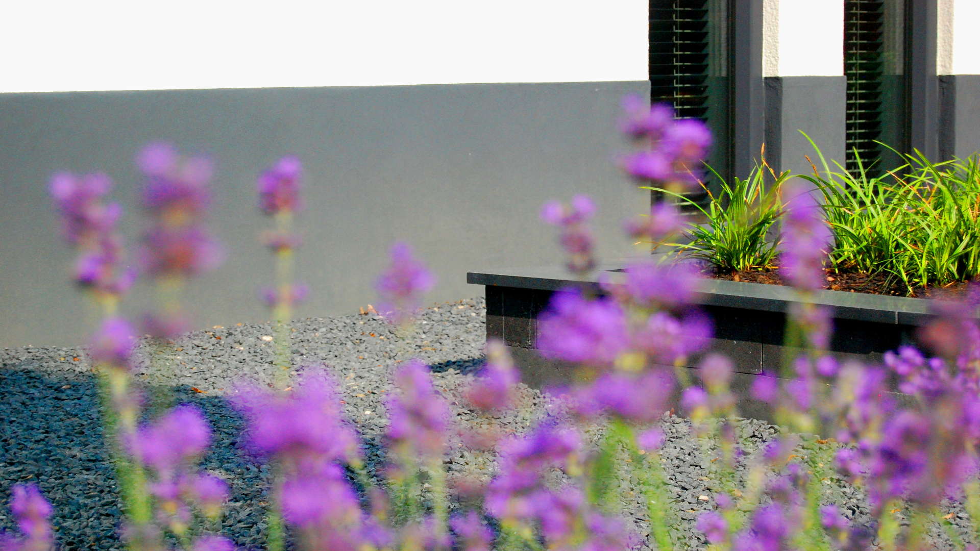 Verbouwing Moderne Woning Architectuur Natuur Raalte Wit Stucwerk Vlakke Pan Antraciet © Tijmen Bos Architecten Deventer