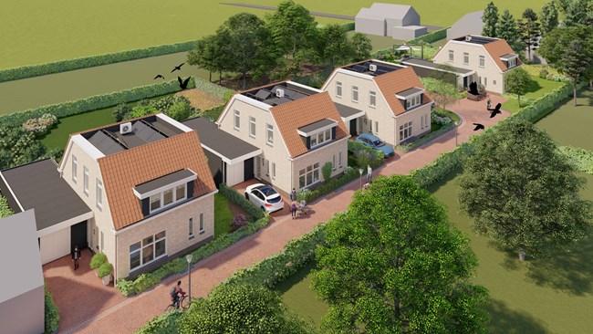Vogelvlucht Zonder Kader