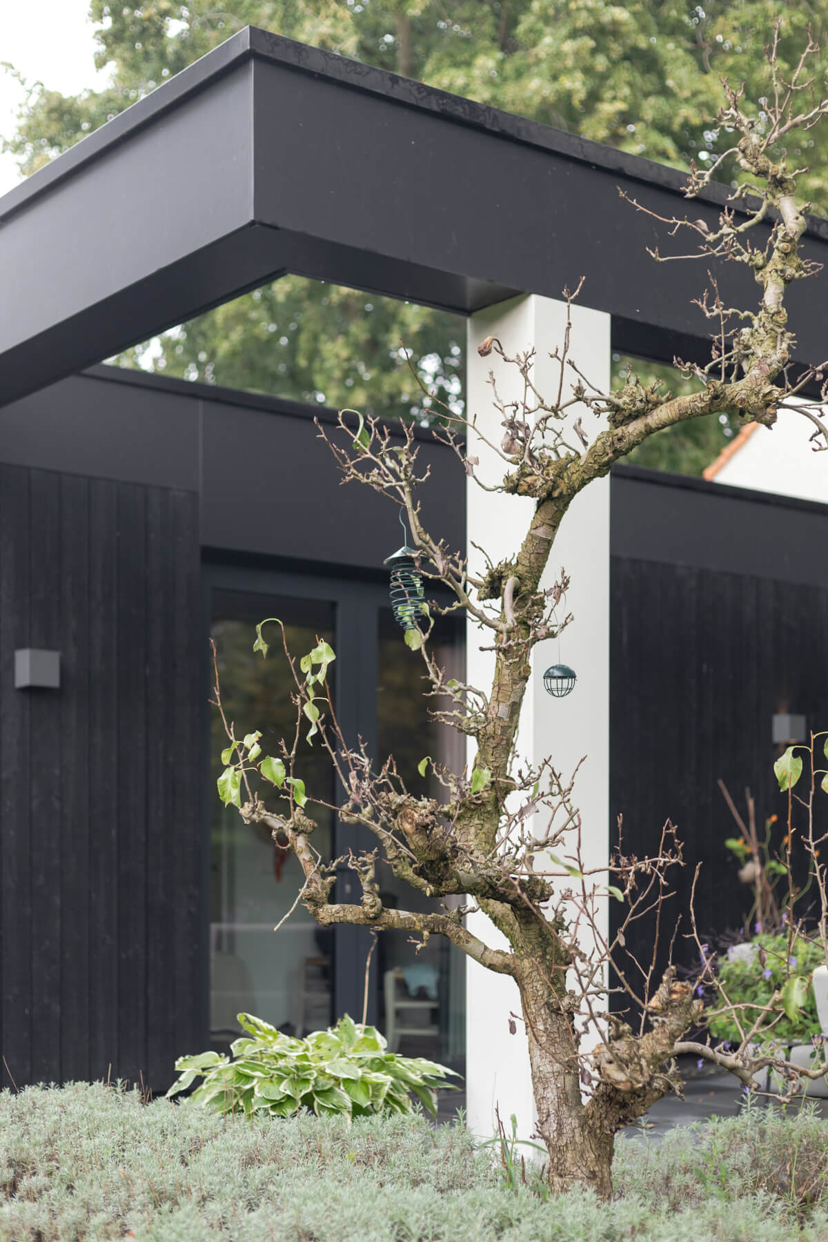 Woonhuis Modern Zwart Hout Kolom Contrast Architectuur Natuur ©Tijmen Bos Architecten